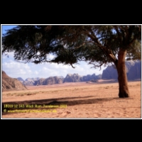 18019 12 143 Wadi Rum Jordanien 2011.jpg